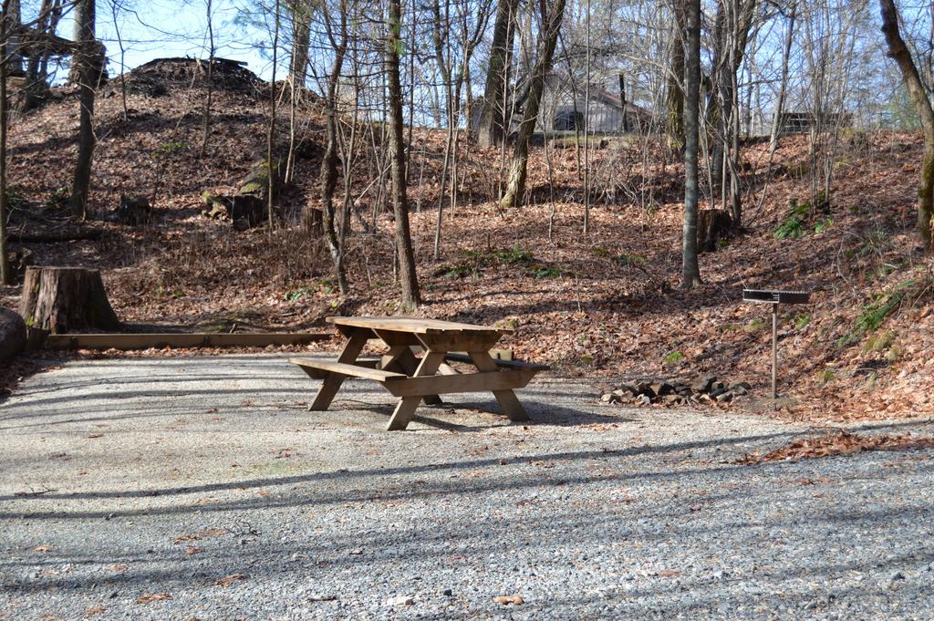 Linville Falls Campground, Rv Park, And Cabins Kültér fotó