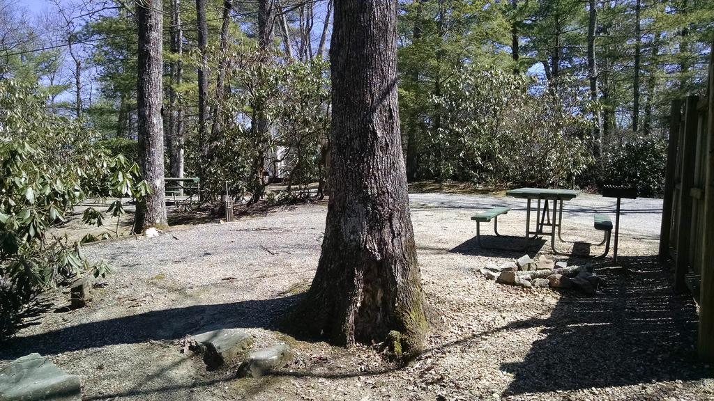 Linville Falls Campground, Rv Park, And Cabins Kültér fotó