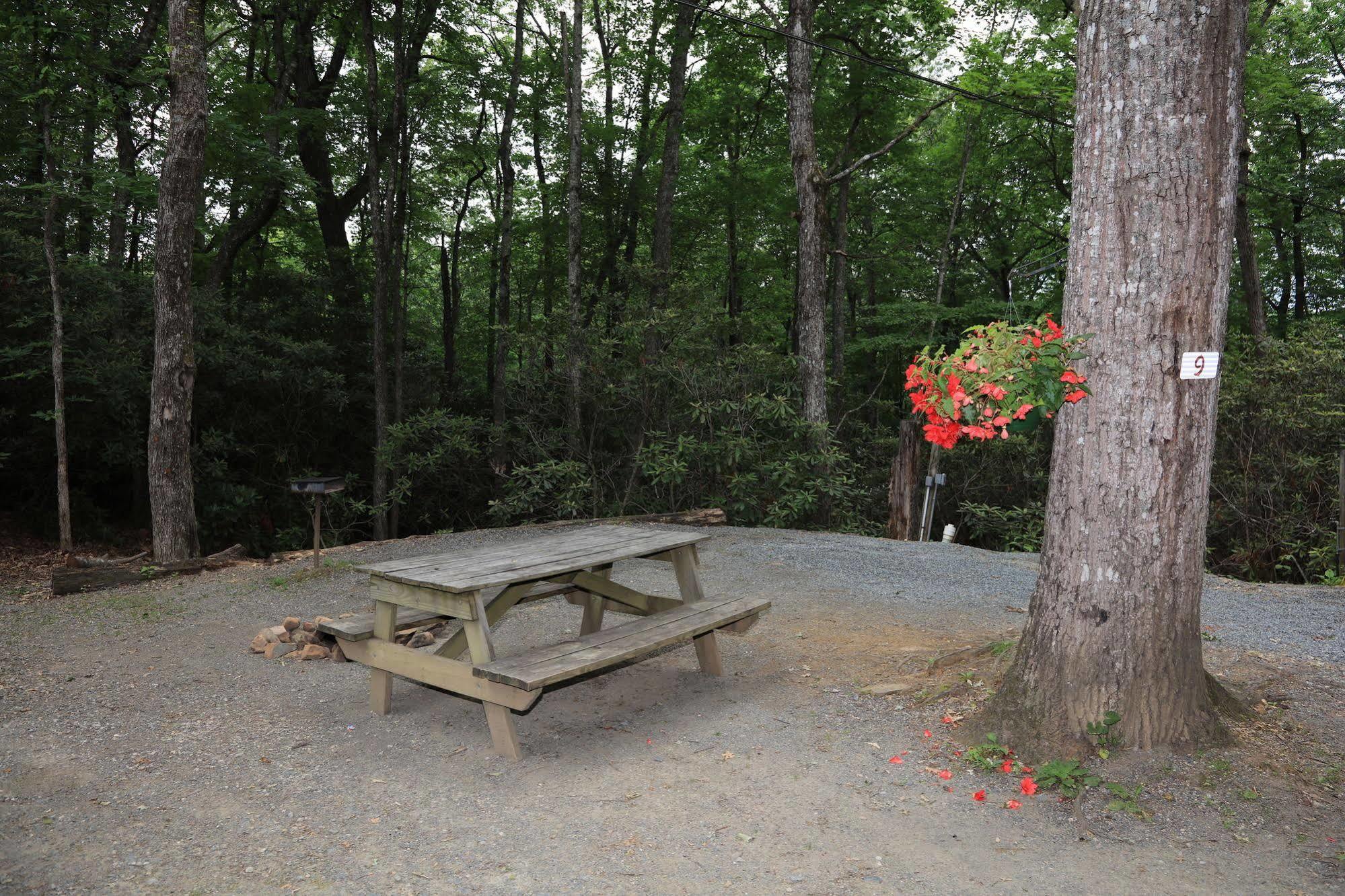 Linville Falls Campground, Rv Park, And Cabins Kültér fotó